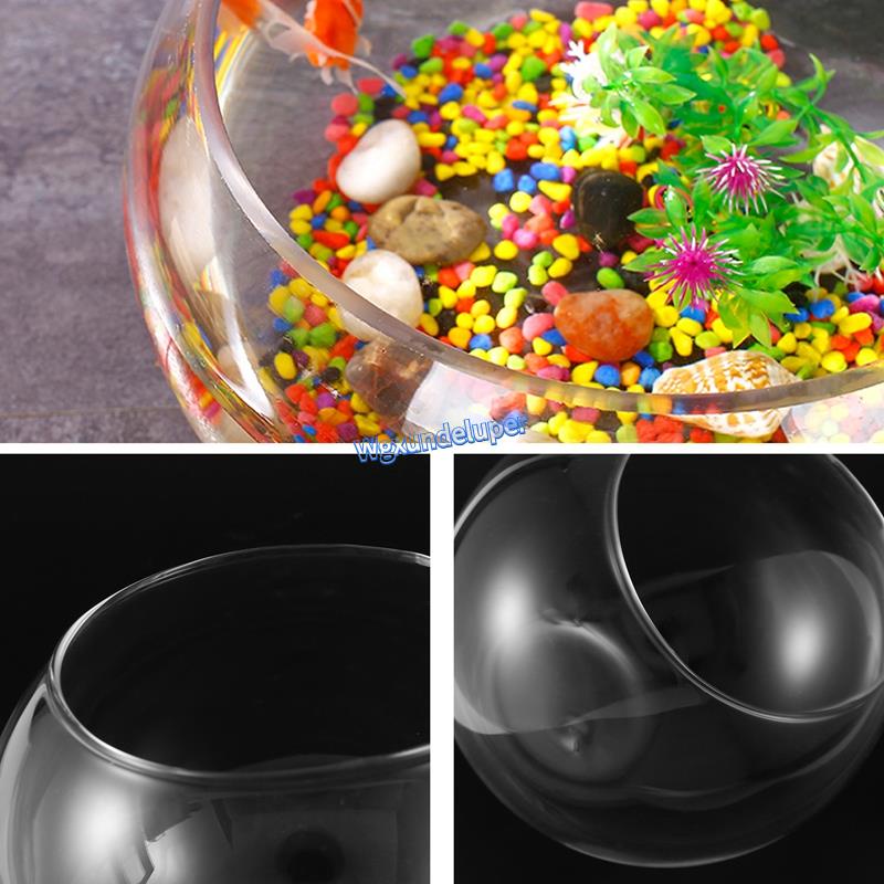 Bình Hoa Thủy Tinh Trong Suốt Hình Cầu Tròn