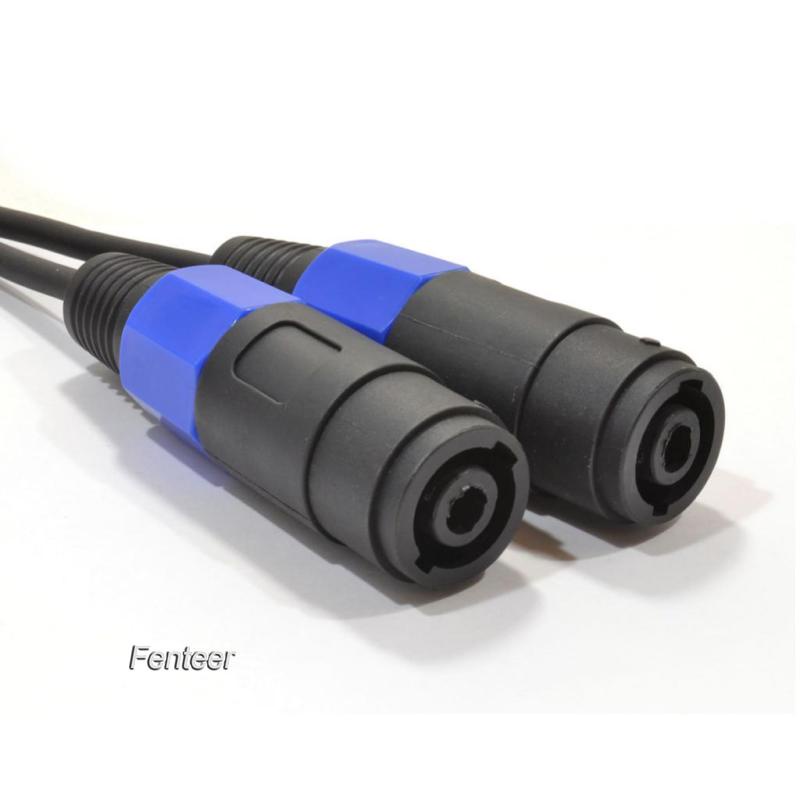 Dây Cáp Khuếch Đại Âm Thanh 0.3m pa