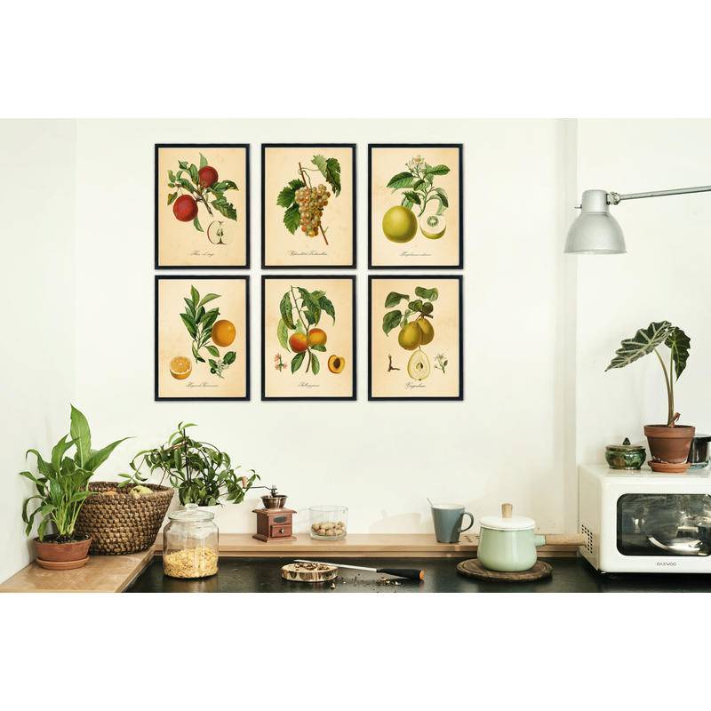Tranh canvas Treo Tường Trang Trí Hình Quả Táo Quả Đào Phong Cách vintage