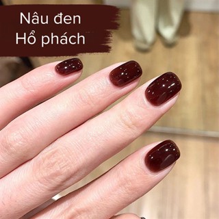  Sơn gel thạch hot nâu đen hổ phách xeijayi -15ml 