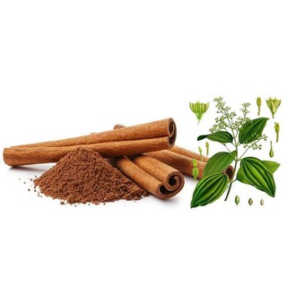 Tinh dầu quế 10ml Come On