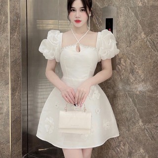 (SALE NGHĨ BÁN)  Đầm Tapta Thiết Kế Bigsize Cột Cổ Đính Đá
