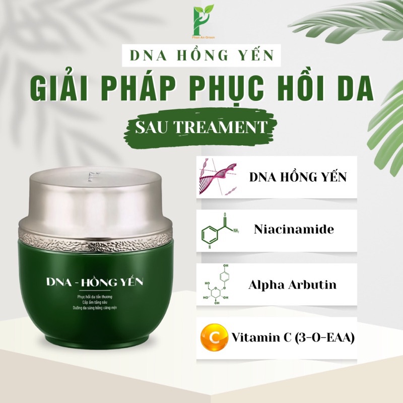 Kem dưỡng da DNA Hồng Yến Phan An Garden hỗ trợ phục hồi da, dưỡng trắng da 30g