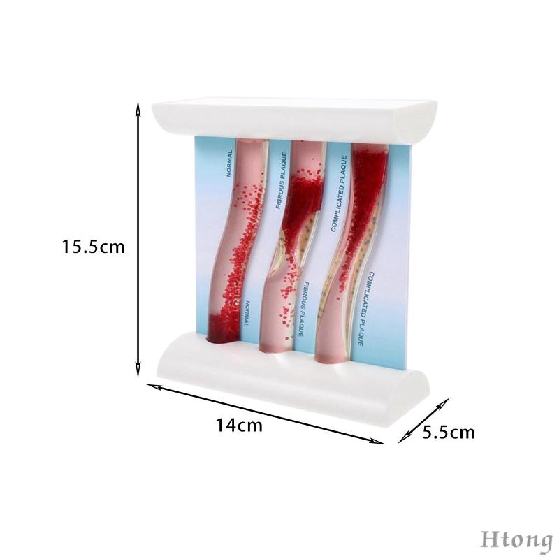 Vesel Mô Hình Bộ Xương Môi Tương Phản lipoprotein cardiovascular dynamic lipid Dùng Dạy Học