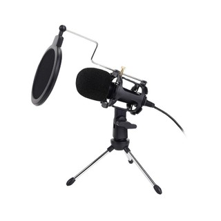 Micro Thu Âm mini 3.5Mm Cho Điện Thoại / Máy Tính