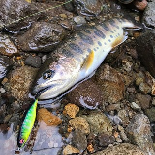 3.5G Micro Minnow 50MM Mồi chìm chìm Minnow Câu cá biển Nước ngọt Mồi giả Bionic Mồi mồi mồi giả Mồi câu cá