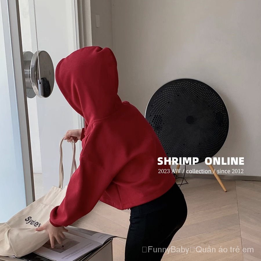 Áo Hoodie Tay Dài In Chữ Phong Cách Hàn Quốc Thời Trang Thu Đông Cho Bé Gái