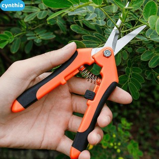 Thép không gỉ Đầu thẳng Khuỷu tay Kéo cành hoa Kéo cắt tỉa Kéo làm vườn Kéo tỉa trái cây Kéo nho Dụng cụ cắt tỉa cây trong vườn cyn
