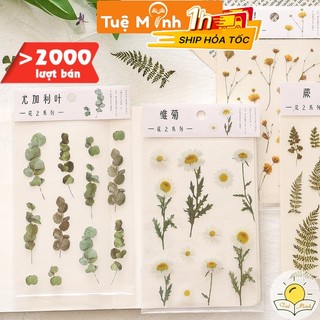 Sticker hoa lá Vintage trang trí, miếng nhán dãn hình hoa lá dán sổ, điện thoại Vpp Tuệ Minh