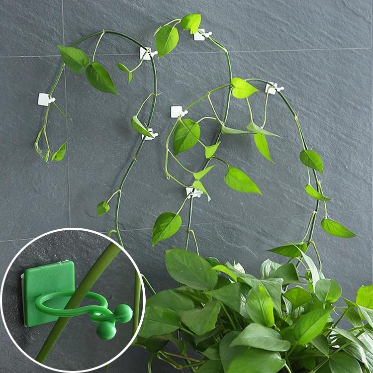 Set 10 Kẹp Cố Định Cây Dây Leo Gắn Tường Tiện Lợi, Dễ Dàng Lắp Đặt, Tiết Kiệm Không Gian