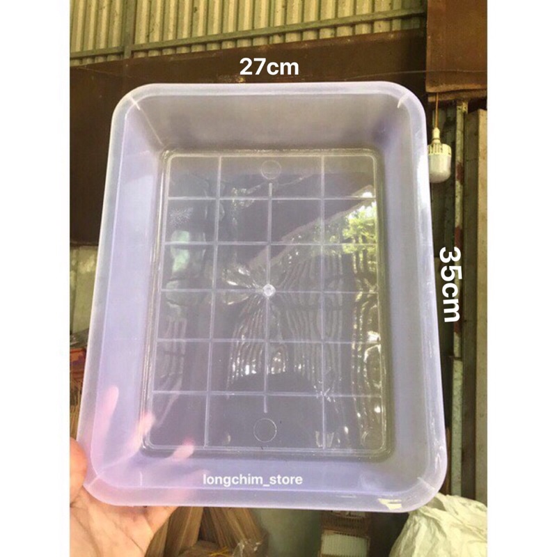 Khay nhựa trắng cứng 3 size đựng đồ dùng học tập, đựng giấy A4, cho gà chim tắm và ăn