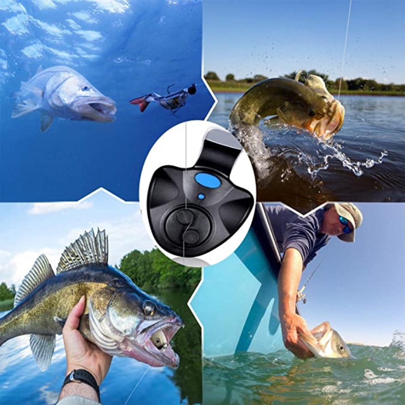 Chuông Báo Cá Cắn Câu Điện Tử 2023 Có Pin