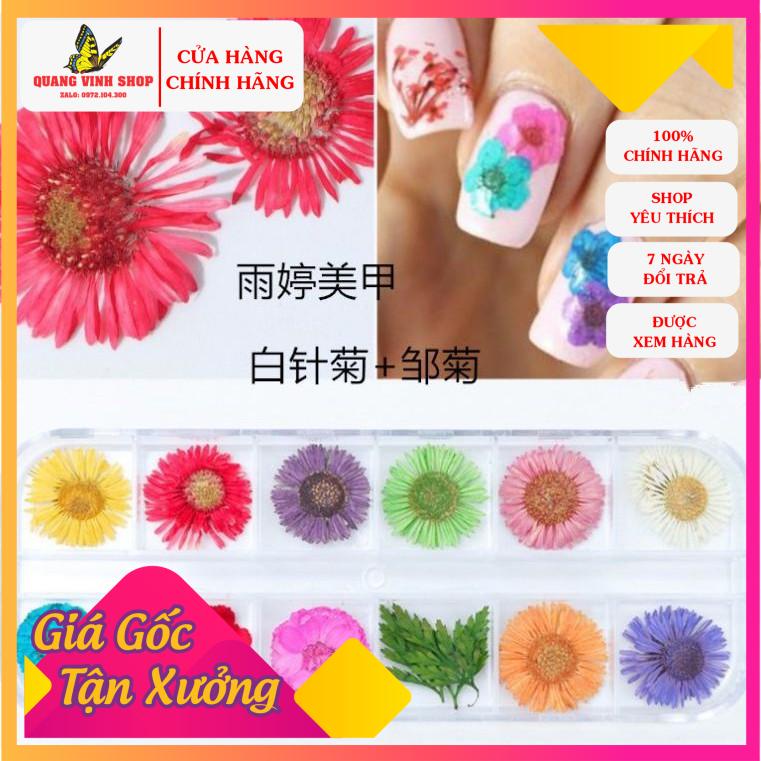 Hoa khô ẩn gel bông tròn
