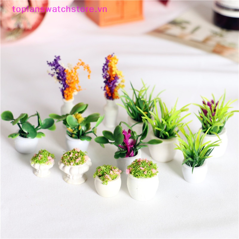 Toplanswatchstore Chậu Cây mini 12 Kiểu 1: 12 Thân Thiện Với Môi Trường Trang Trí Nhà Búp Bê