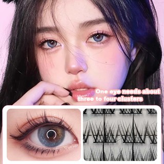 Lông Mi Giả 5 Hàng Kích Thước 11mm Làm Đẹp Chuyên Nghiệp Tặng Kèm Dụng Cụ Rosslyn Cosmetic QT217