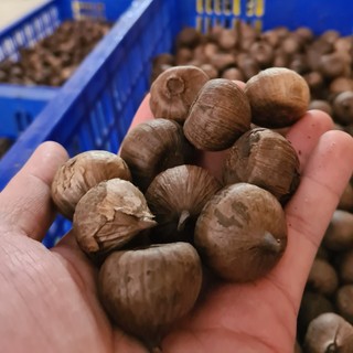 [Loại 1] Tỏi đen cô đơn được lên men tự nhiên 100% tốt cho tiêu hóa - 230gr
