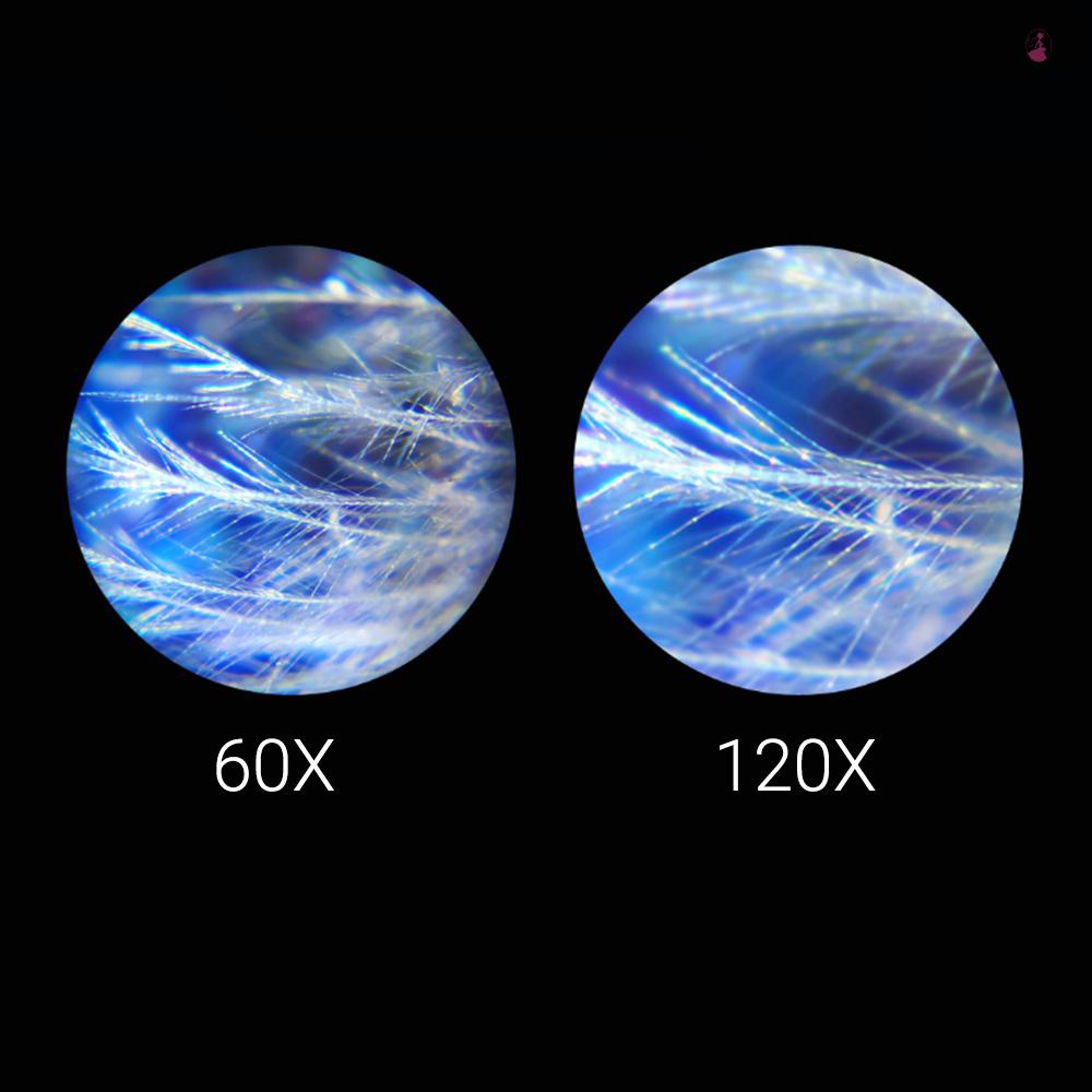 Celestron Kính Hiển Vi Bỏ Túi Có Đèn led 60x-120x Chất Lượng Cao