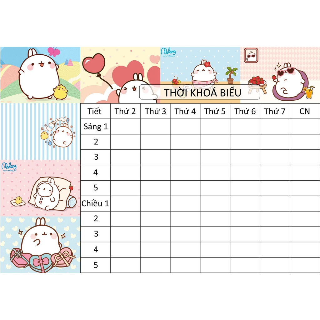 Thời Khoá Biểu Molang A4TKB5 size A4