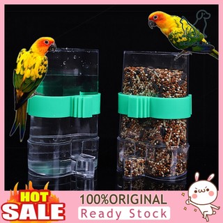 Bình uống nước tự động cho chim cảnh