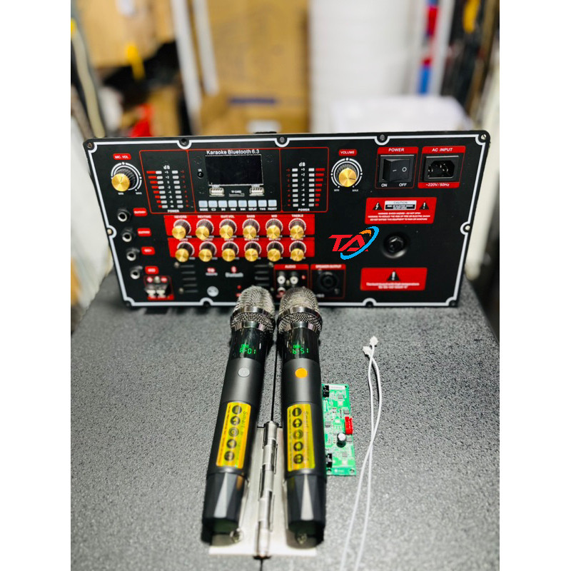 Combo mạch t450s và micro chống hú