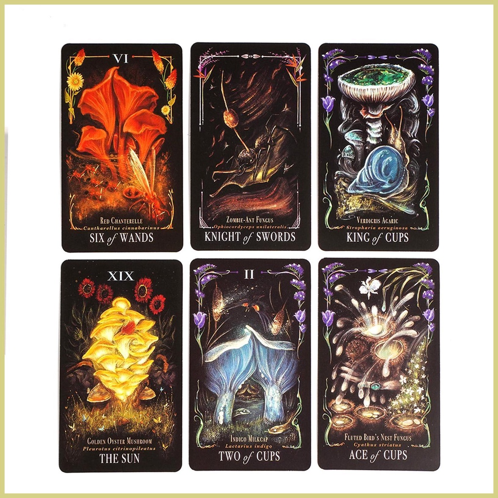 Bộ Bài tarot 78 Lá Tiếng Anh Độc Đáo