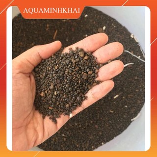 Sạn nền trang trí bể thủy sinh, trang trí terrarium