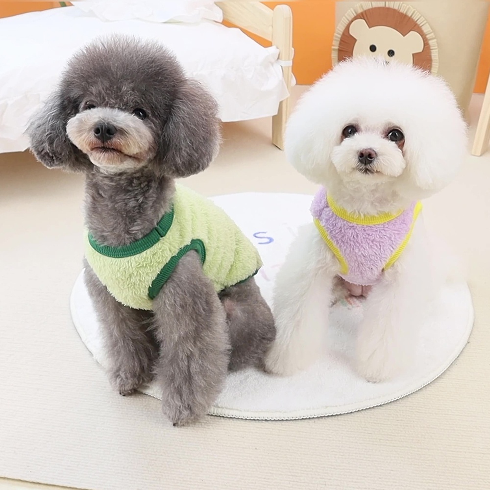 Áo KhoáC MùA Đông ẤM ÁP, HìNh GấU Dễ Thương Cho Thú Cưng