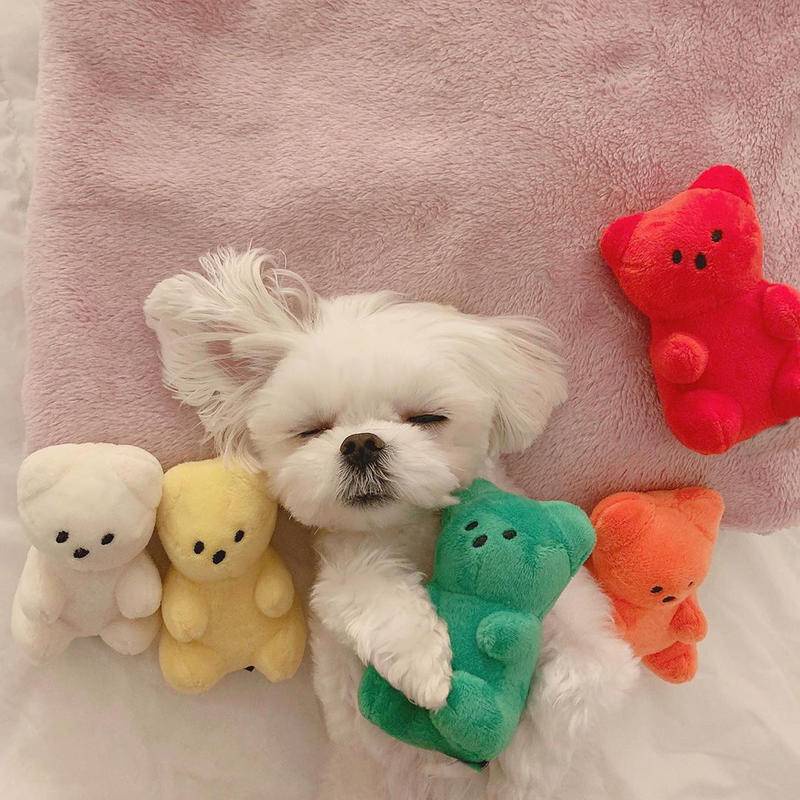 Đồ Chơi Gặm Nhấm Răng Hình Gấu Giáng Sinh Cho Thú Cưng