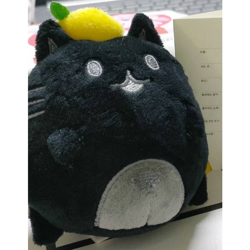 Mèo Nhồi Bông seventeen jun fifi 1 Dễ Thương Cho Bé Gái