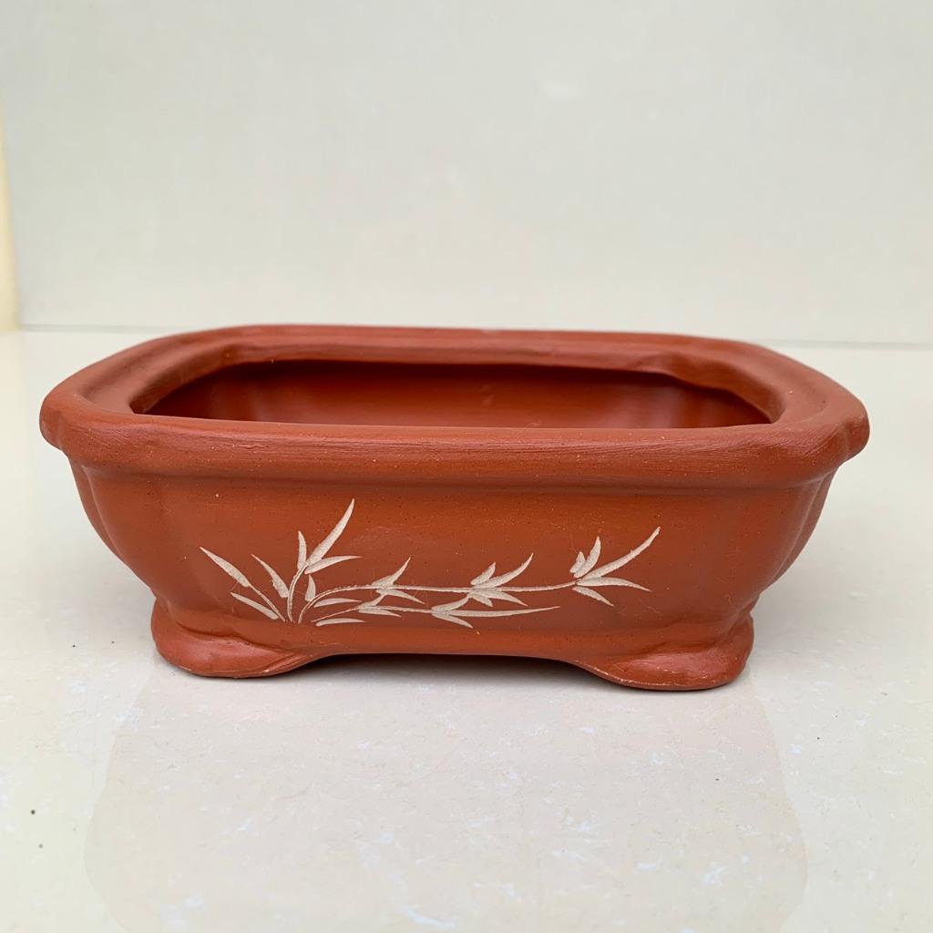 Chậu Áng mây bonsai cây cảnh sen đá màu đỏ SP720