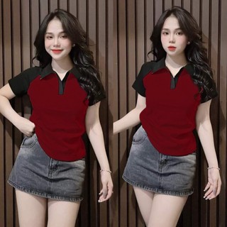 Áo Thun Borip PoLo Bigsize Tay Ngắn Có Cổ Phối Màu TCShop MS 091