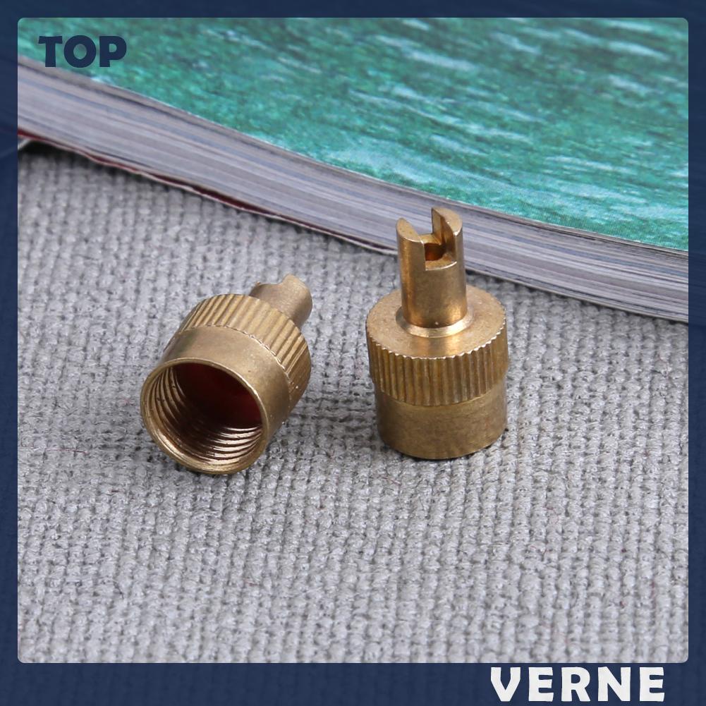 Bộ 10 Nắp Van Khí Chuyên Dụng Cho Xe Hơi / Xe Máy