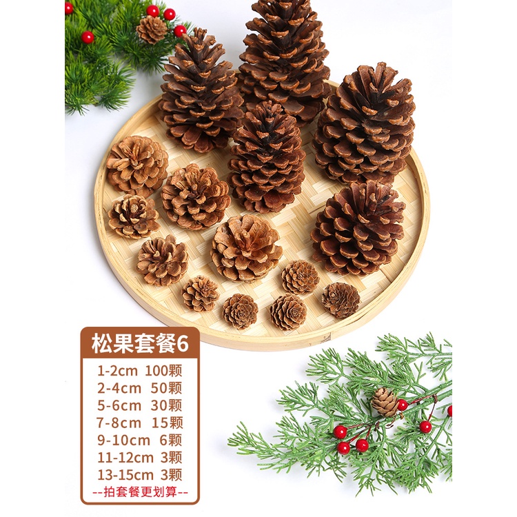 Quả thông tự nhiên trang trí Noel làm thủ công handmade - Steam