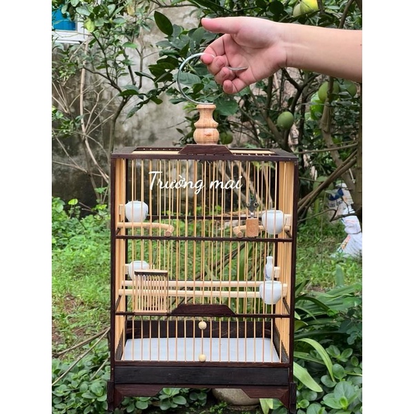 KHUNG LỒNG TỰ RÁP gỗ mun nan tre  cho chim Hút mật , ốc mít , khuyên thái đấu , vuông đấu kèm dầu bóng và keo