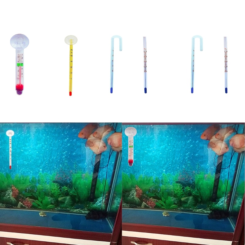 LIVI FishTank cho rùa cá Aquatics Loại ngâm chính xác
