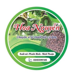 CHUỐI HỘT MỒ CÔI đặc sản Phước Bình
