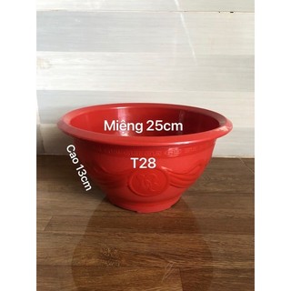 Chậu nhựa truyền thống t28 trồng cây màu đỏ