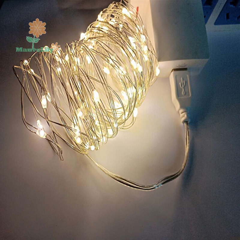 Dây Đèn led Trang Trí 2m 20led 3m 30led usb