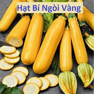 Hạt giống bí ngòi vàng - bí ngòi vàng f1 - gói 10 hạt