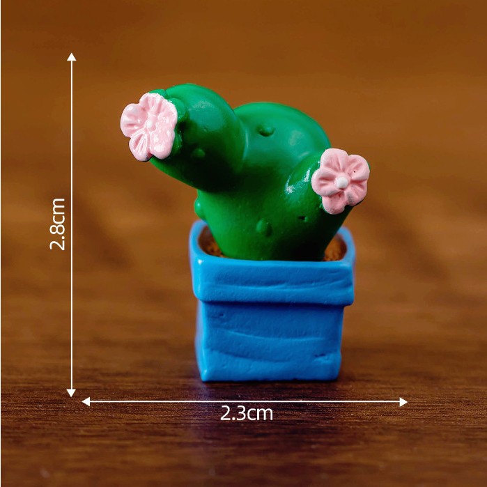 Mô hình túi xương rồng dễ thương decor bàn học, terrarium