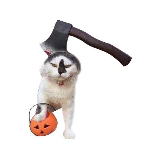 Mũ Đội Đầu Vui Nhộn Cho Thú Cưng