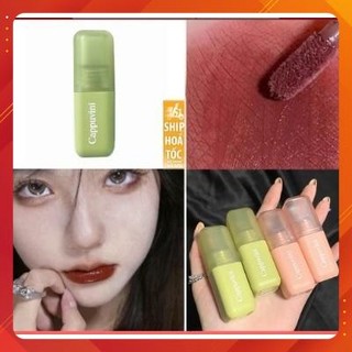 Son kem lì Cappuvini lâu trôi chống thấm nước,tone đỏ nâu đất mềm mịn như nhung chống nước nội địa trung