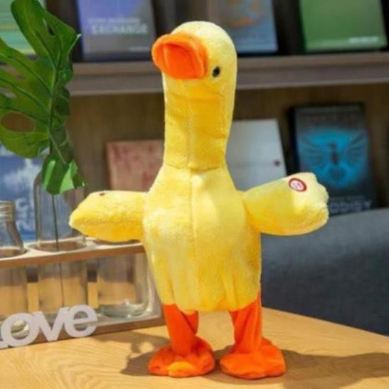 Vịt Poka Biết Đi, Biết Hát Và Nhại Giọng Nói