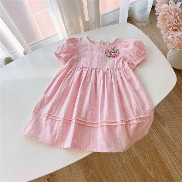 Váy Thô Thêu Hoa Và Sóc 9-33kg