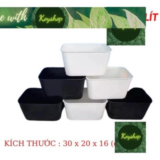 Khay nhựa nuôi cá cảnh 7l 1 & combo 3 khay