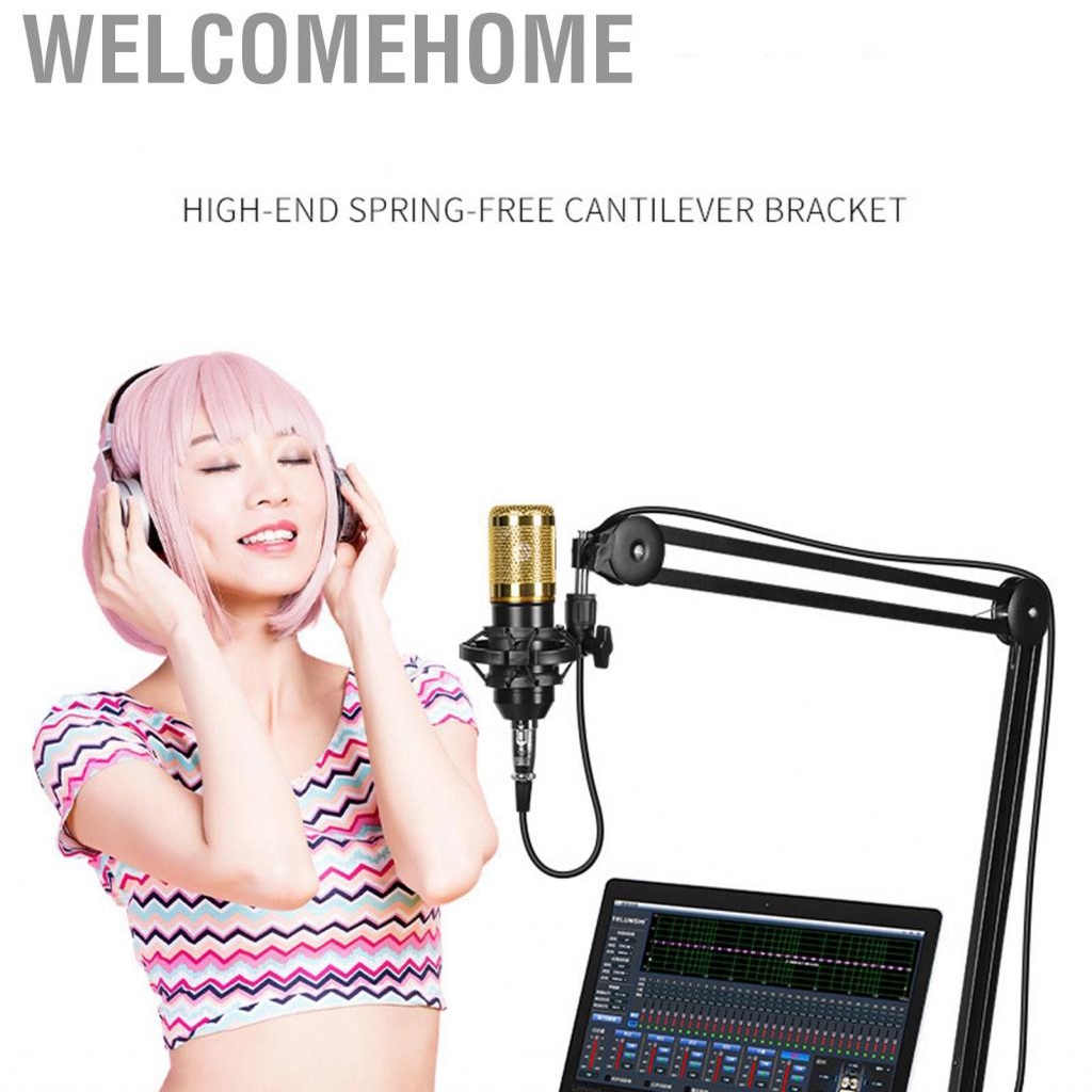 Welcomehome Microphone Boom Arm Mic Stand Springless Cantilever Bracket Condenser Live Recording Desktop