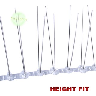 Đinh gắn đuôi chim bồ câu chống chim bồ câu heyuanlong444