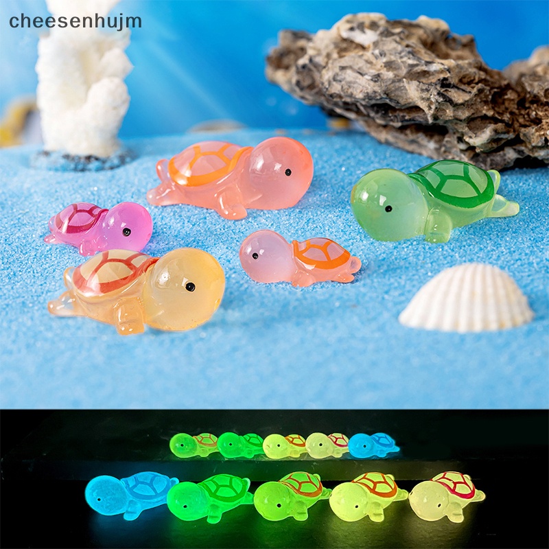 Set 1 / 5 Tượng Rùa mini Dạ Quang Trang Trí