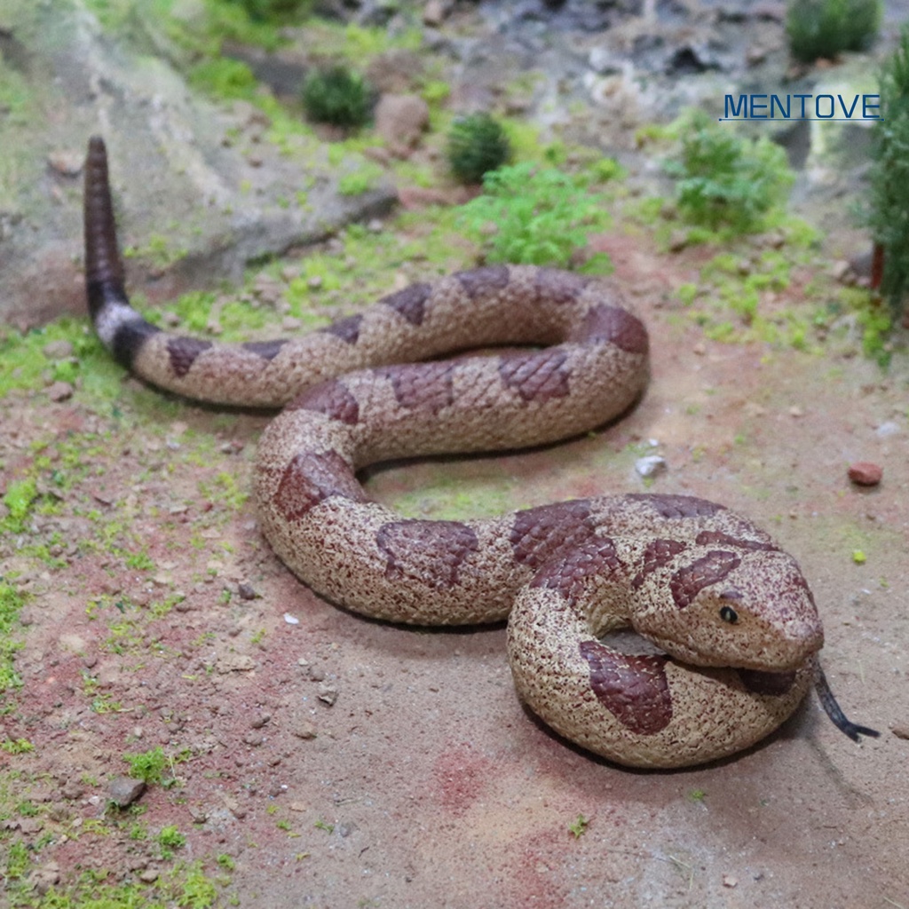 Đồ Chơi Mô Hình Rắn Giả Mềm Mại Như Thật Trang Trí halloween