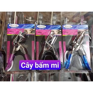 Cây bấm mi đẹp